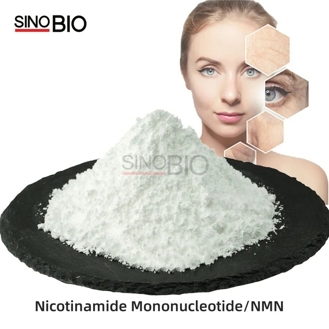 المكملات الغذائية المضادة للشيخوخة مسحوق β - نيكوتيناميد أحادي النوكليوتيد 99.9٪ NMN CAS 1094-61-7