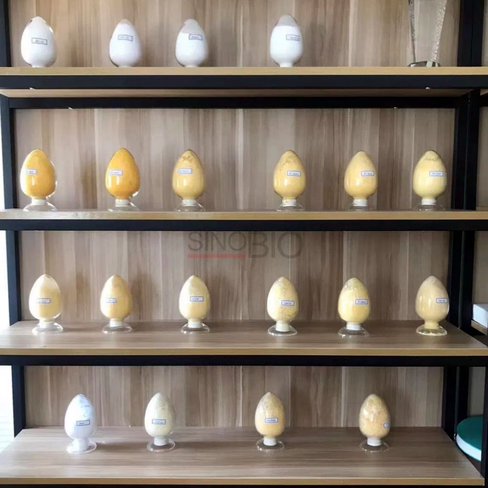 عامل الرغوة عامل النفخ الكيميائي AC معالجات الدقيق المخمرات السريعة Azodicarbonamide / Azo / AC / ADC CAS 123-77-3